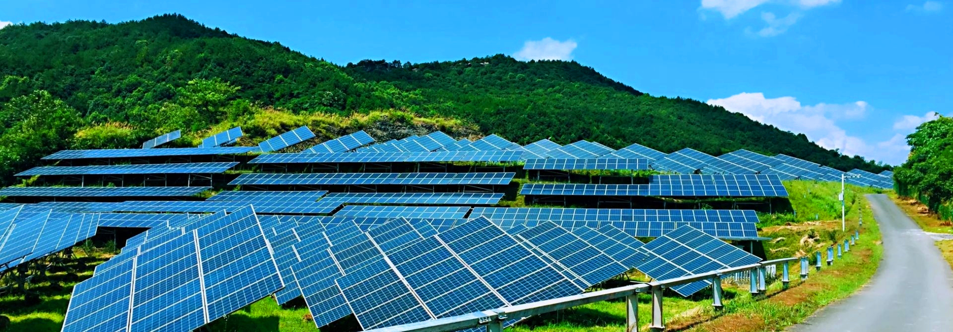 集研發|生產|銷售為一體